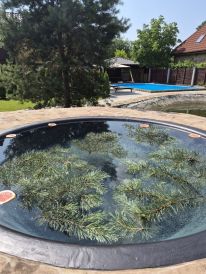 Отельно-банный комплекс «KUPALO SPA»